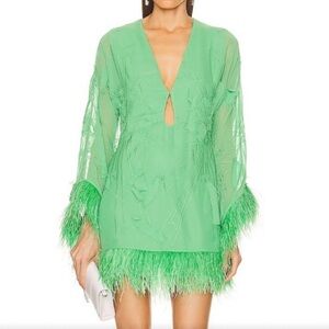 Alexis Chic Green Feathered Dress